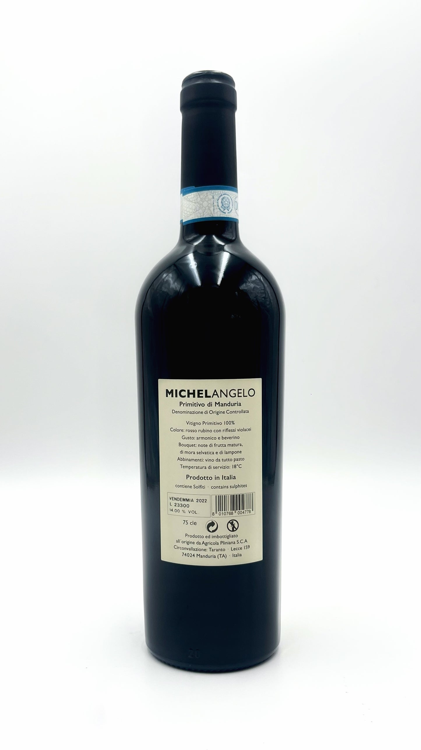 Primitivo Michelangelo