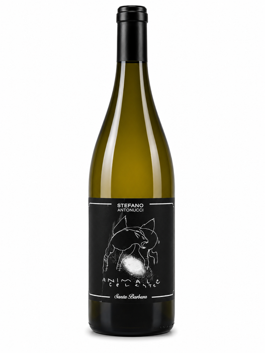 Magnum Animale Celeste - Stefano Antonucci - Sauvignon Blanc